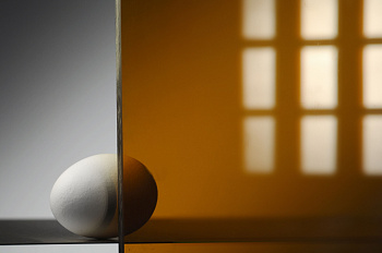 МПК 5мм Polygal Колибри Бронзовый 3,05м*2,05м